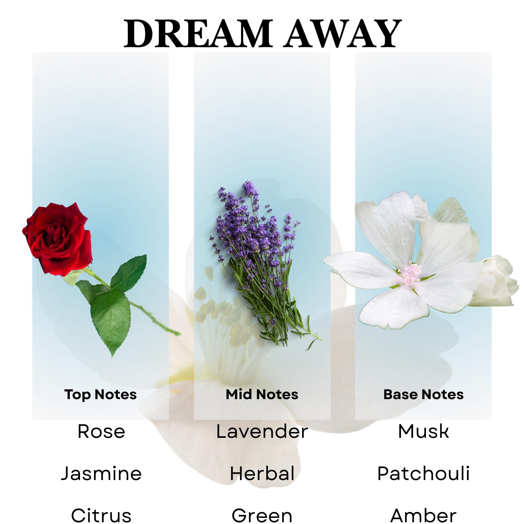 Scentia Dream Away diffuser-scene showing long-lasting aroma in an office