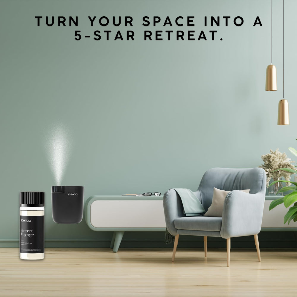 Scentia Secret Voyage cedar-jasmine profile in a living room setting.