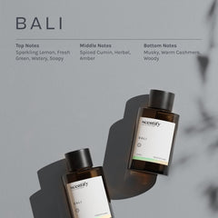 Scentify Bali aroma oil refill with amber and musk for warmth
