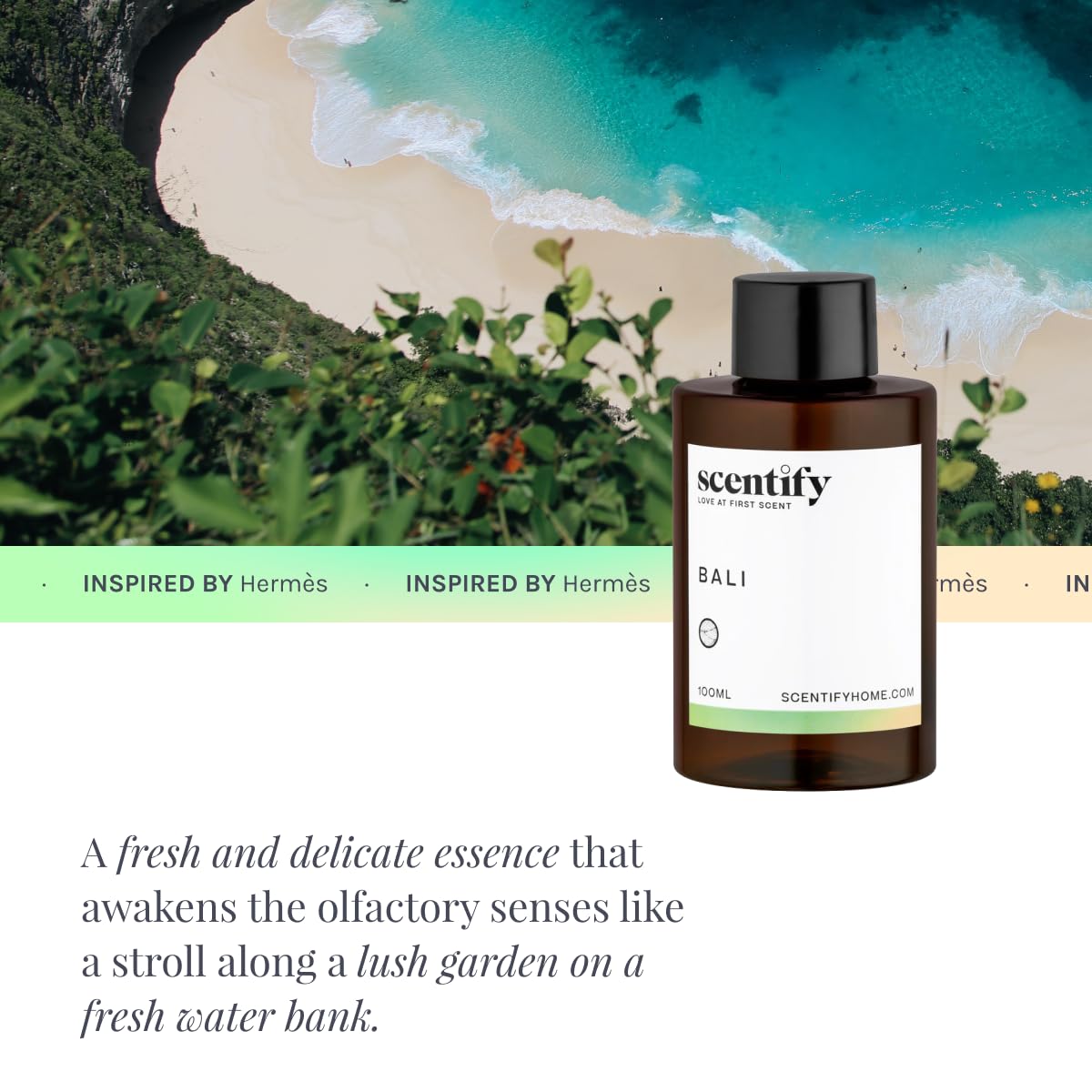Scentify Bali aroma oil refill with woody notes for depth