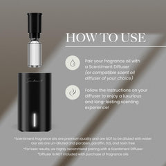 Scentiment Vanilla Macadamia packaging highlights premium fragrance.