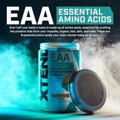 Front packaging of Scivation Xtend EAA shows sugar-free formula and 9 essential amino acids.