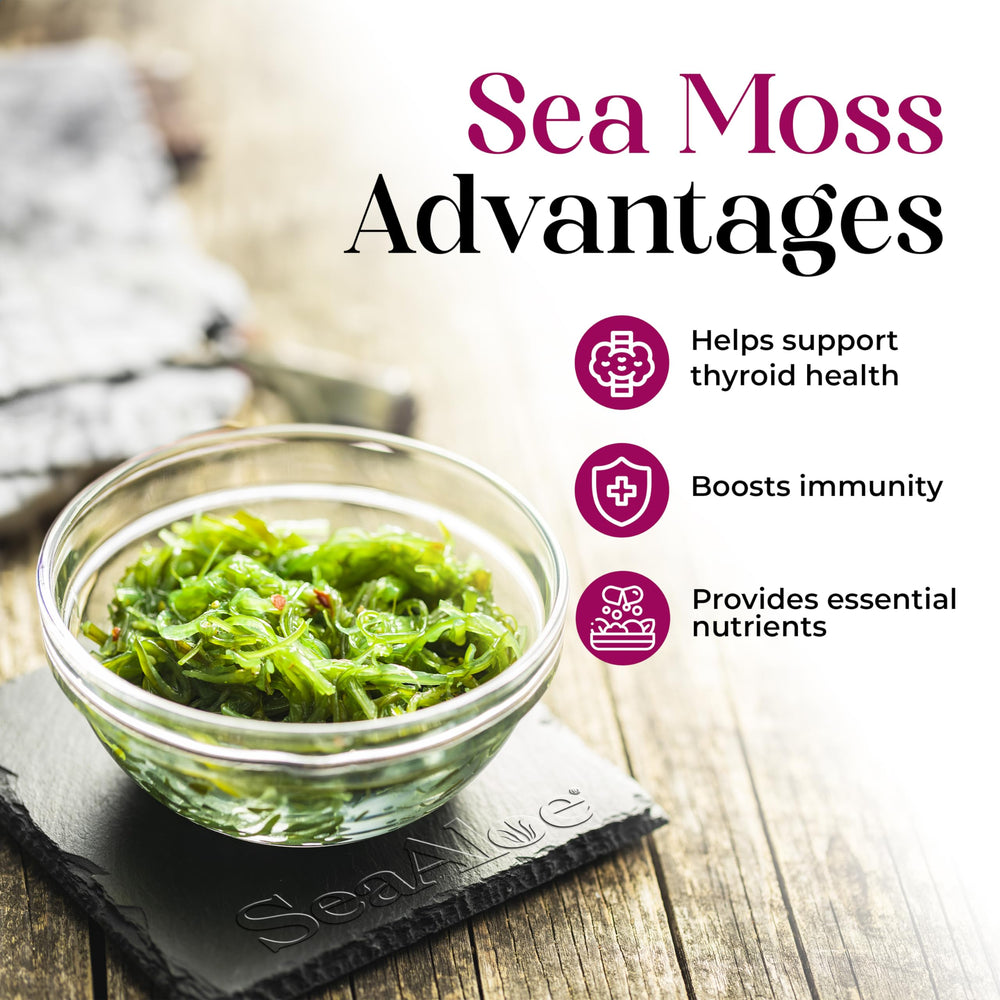 SeaAloe Nature's Liquids green aloe leaf highlights natural ingredients