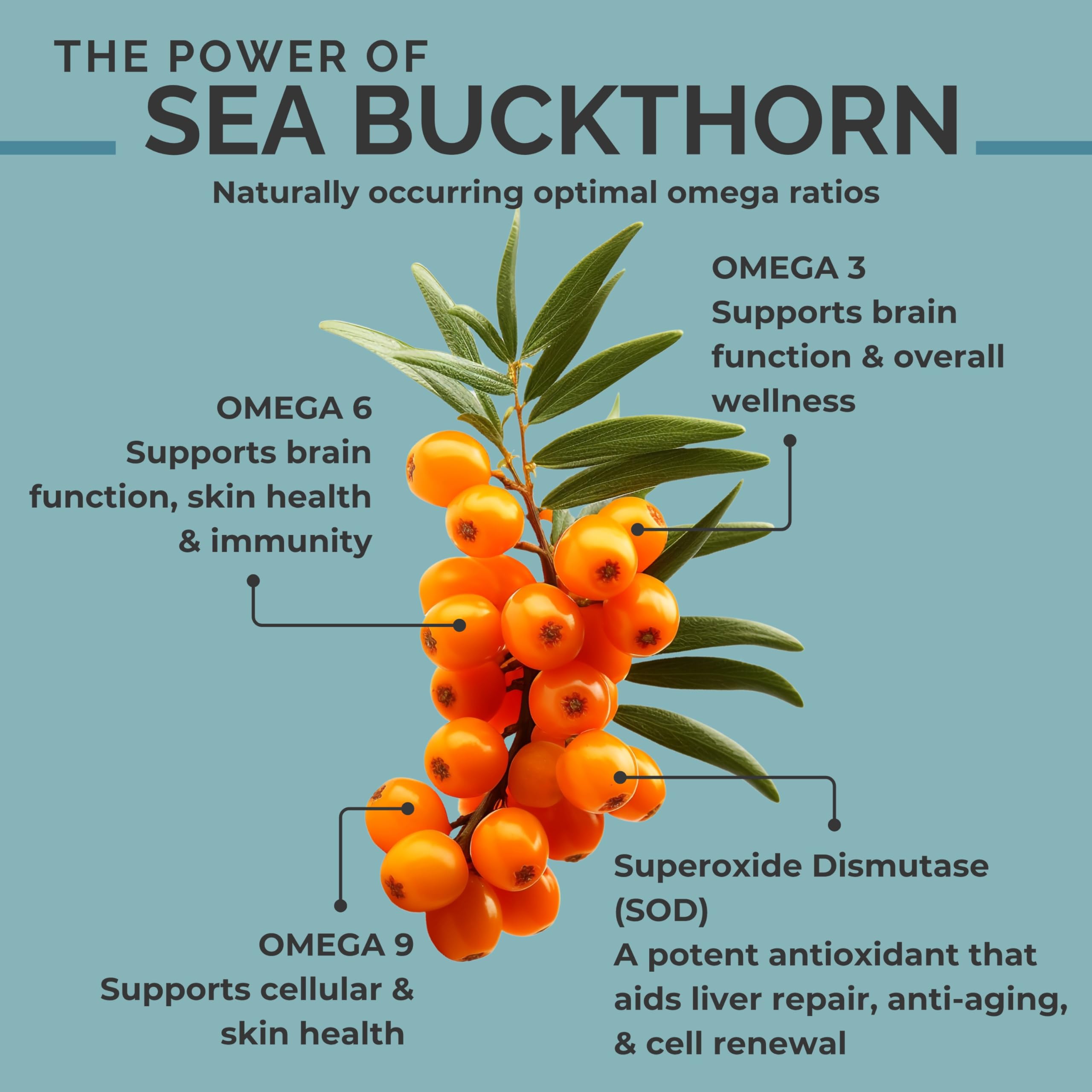 SEABUCKWONDERS sea buckthorn oil bottle with pour spout for topical use