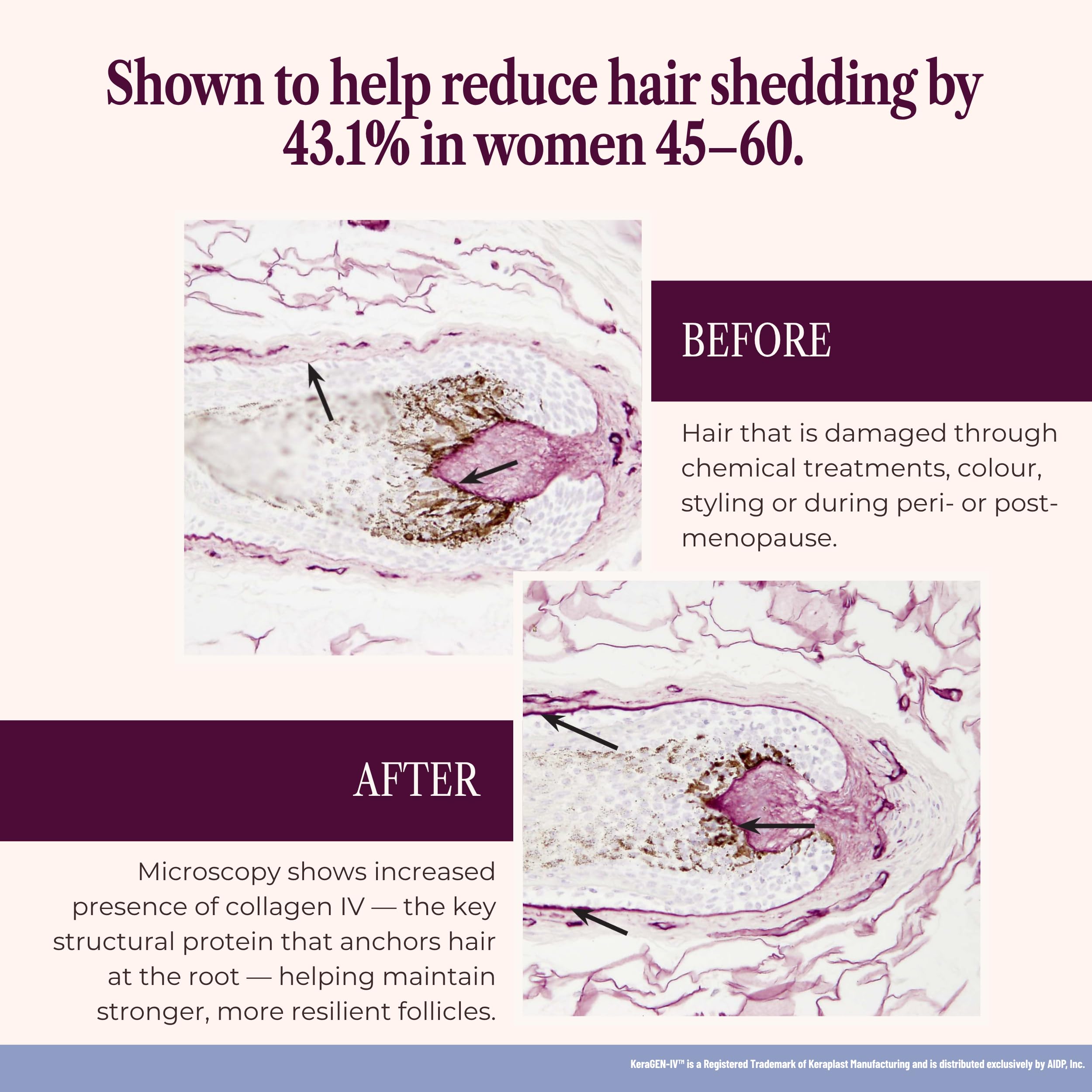 SEASON34 fuller-looking hair image promotes visible density and healthier strands.