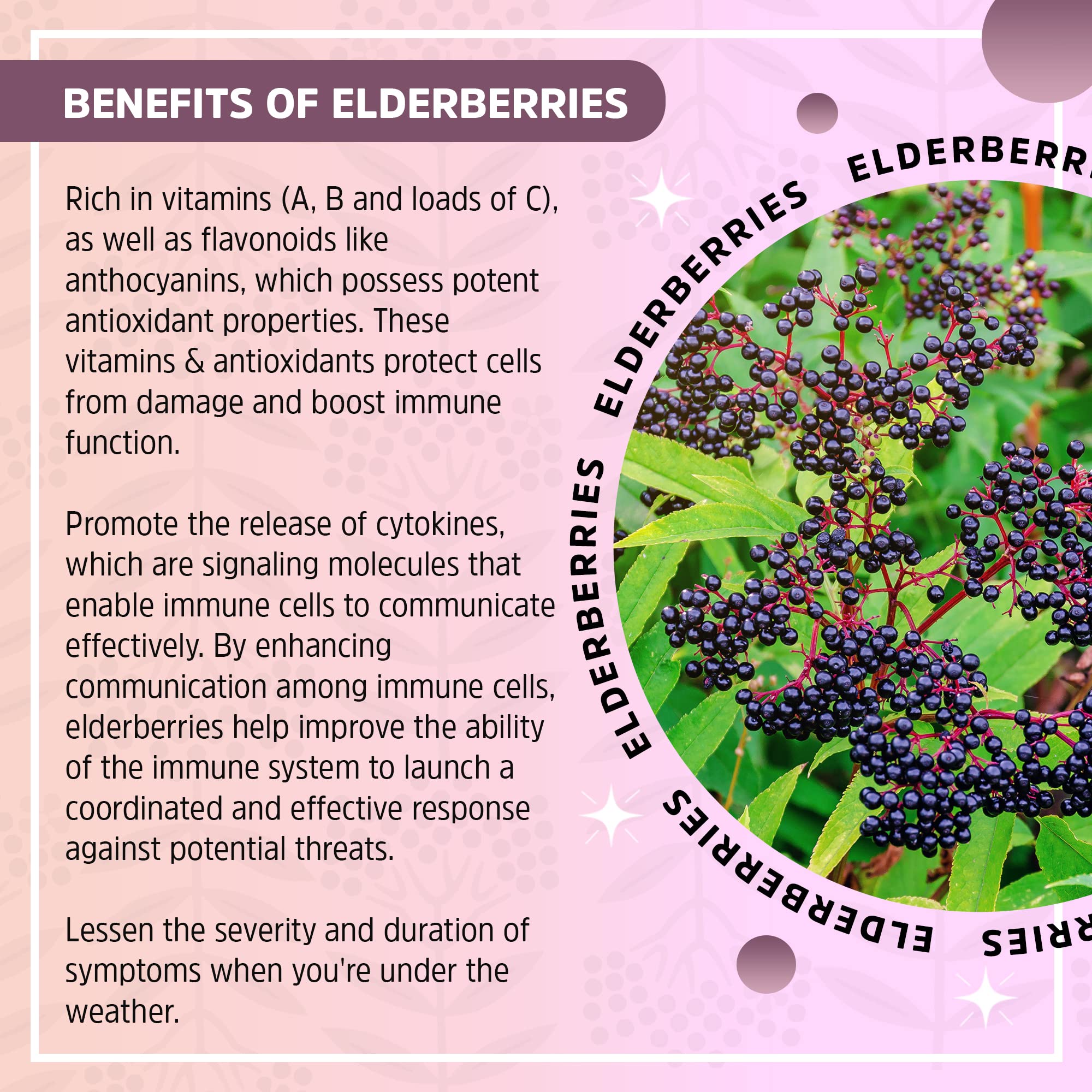 Seattle Elderberry Gummies made-in-usa badge signals small-batch freshness