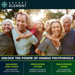 Secret Element Bergamot polyphenol content visual suggesting antioxidant-rich extract.