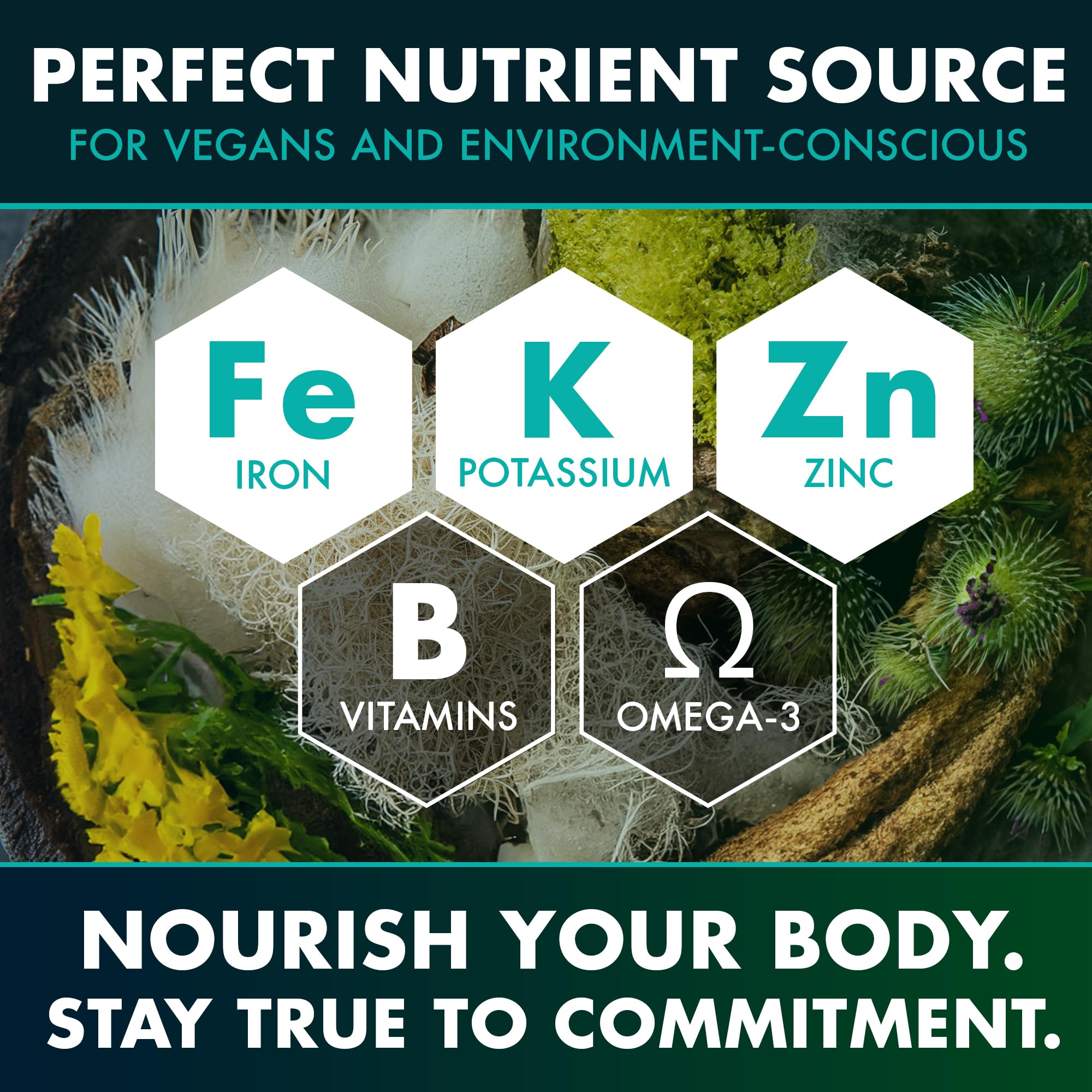 Secret Element Bladderwrack Seaweed visual implying mineral-rich seaweed.