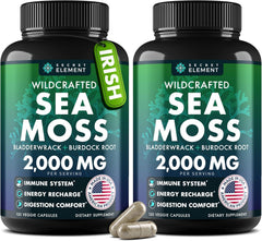 Secret Element Sea Moss capsules bottle front—potential immune support and daily energy.