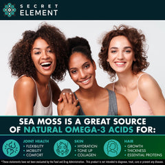 Secret Element Sea Moss Capsules bladderwrack visual indicates seaweed-based wellness options.