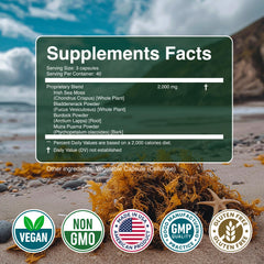 Secret Element Sea Moss Capsules Three-Pack box highlighting value and convenience.