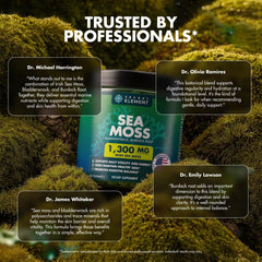 Secret Element Sea Moss Gummies glass in use demonstrates easy daily incorporation.