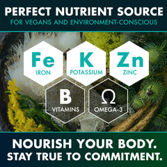 Secret Element Sea Moss ingredients muira puama—vitality herbal blend.