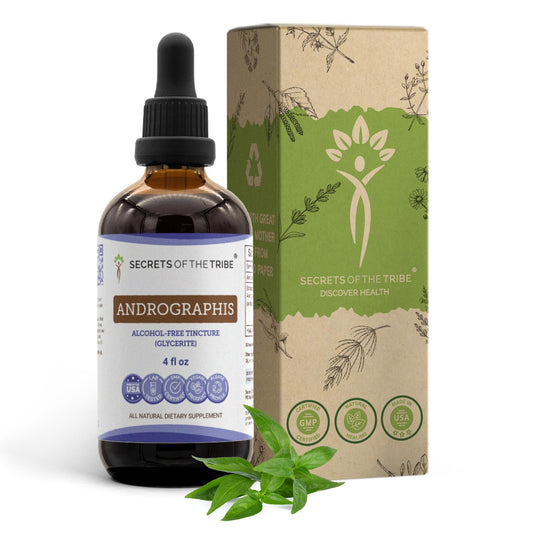 Secrets of the Tribe Andrographis tincture bottle for easy dosing at home