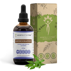 Secrets of the Tribe Andrographis tincture bottle for easy dosing at home