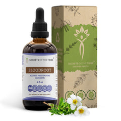 Secrets of the Tribe Bloodroot tincture bottle shows pure, high-potency extract for easy daily use.