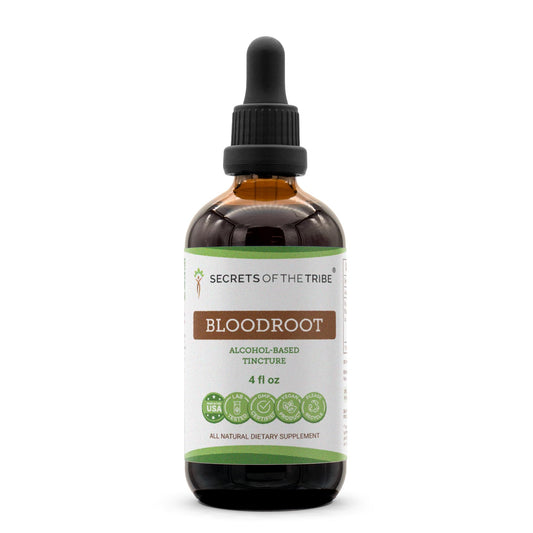 Secrets of the Tribe Bloodroot tincture bottle ready for easy dosing