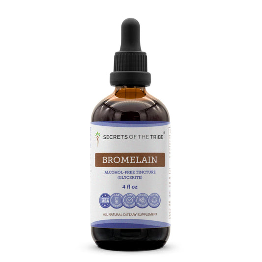 Secrets of the Tribe bromelain tincture bottle showing easy absorption potential