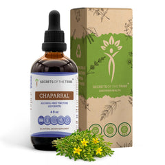Secrets of the Tribe chaparral tincture bottle ready for daily routine