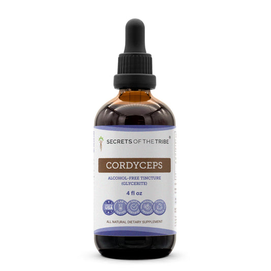 Secrets of the Tribe cordyceps liquid extract bottle showing premium tincture for daily vitality