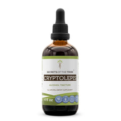 Secrets of the Tribe Cryptolepis Tincture bottle on wood for daily wellness ritual.