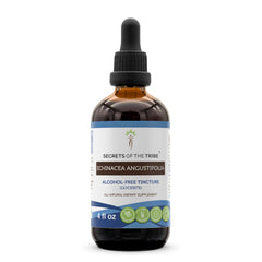 Secrets of the Tribe echinacea tincture bottle with dropper for easy daily dosing.