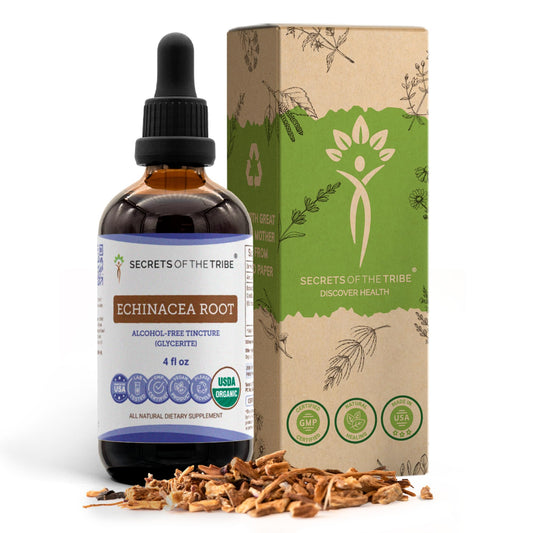 Secrets of the Tribe Echinacea Root Tincture bottle for daily plant-based support.