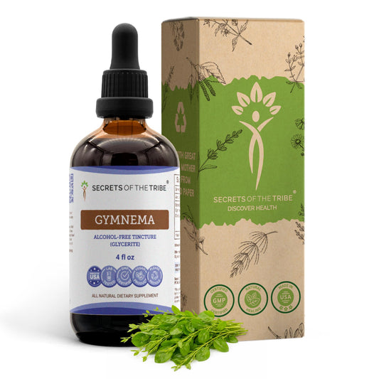 Secrets of the Tribe Gymnema tincture bottle with dropper for easy daily use.