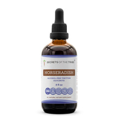 Secrets of the Tribe horseradish tincture bottle front view, alcohol-free liquid extract.