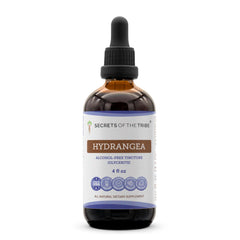 Secrets of the Tribe Hydrangea Tincture bottle-front for daily use, premium herbal extract