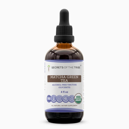 Secrets of the Tribe matcha drops in organic bottle for daily use