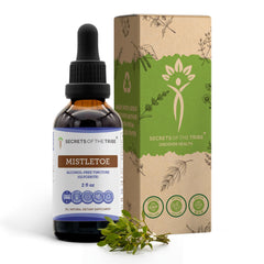 Secrets of the Tribe mistletoe tincture bottle closeup, high-potency herbal drops for daily use