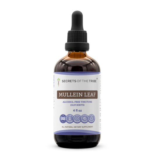Secrets of the Tribe Mullein Leaf Liquid Extract bottle with alcohol-free tincture for easy dosing.