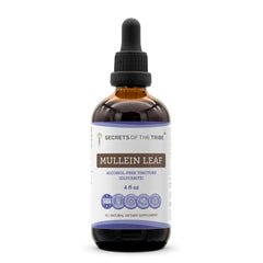 Secrets of the Tribe Mullein Leaf Liquid Extract bottle with alcohol-free tincture for easy dosing.
