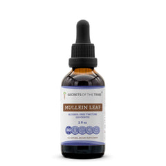 Secrets of the Tribe mullein tincture bottle showing clean labeling and purity