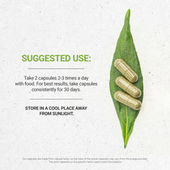 Secrets of the Tribe Nutmeg capsules close-up show high potency formula.