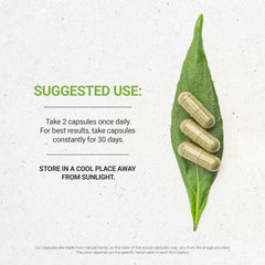Secrets of the Tribe Calendula capsules designed for easy daily intake.