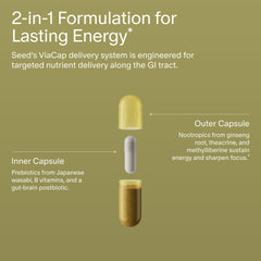 Seed AM-02 capsules closeup demonstrates vegan, caffeine-free formula for daily use.