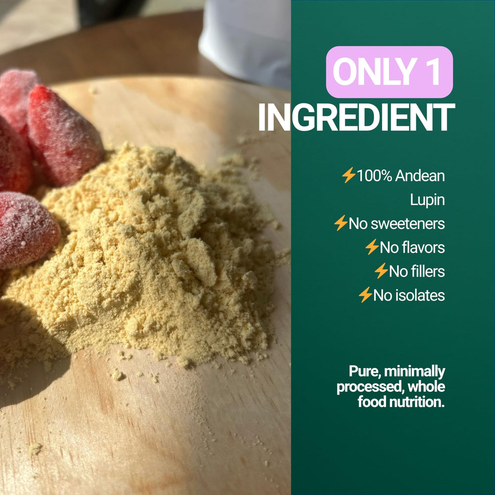 Ingredients chart featuring lupin bean protein and minerals in SEED Chocho.