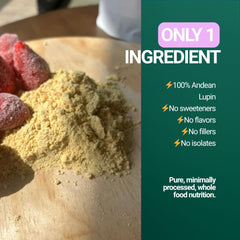 Ingredients chart featuring lupin bean protein and minerals in SEED Chocho.