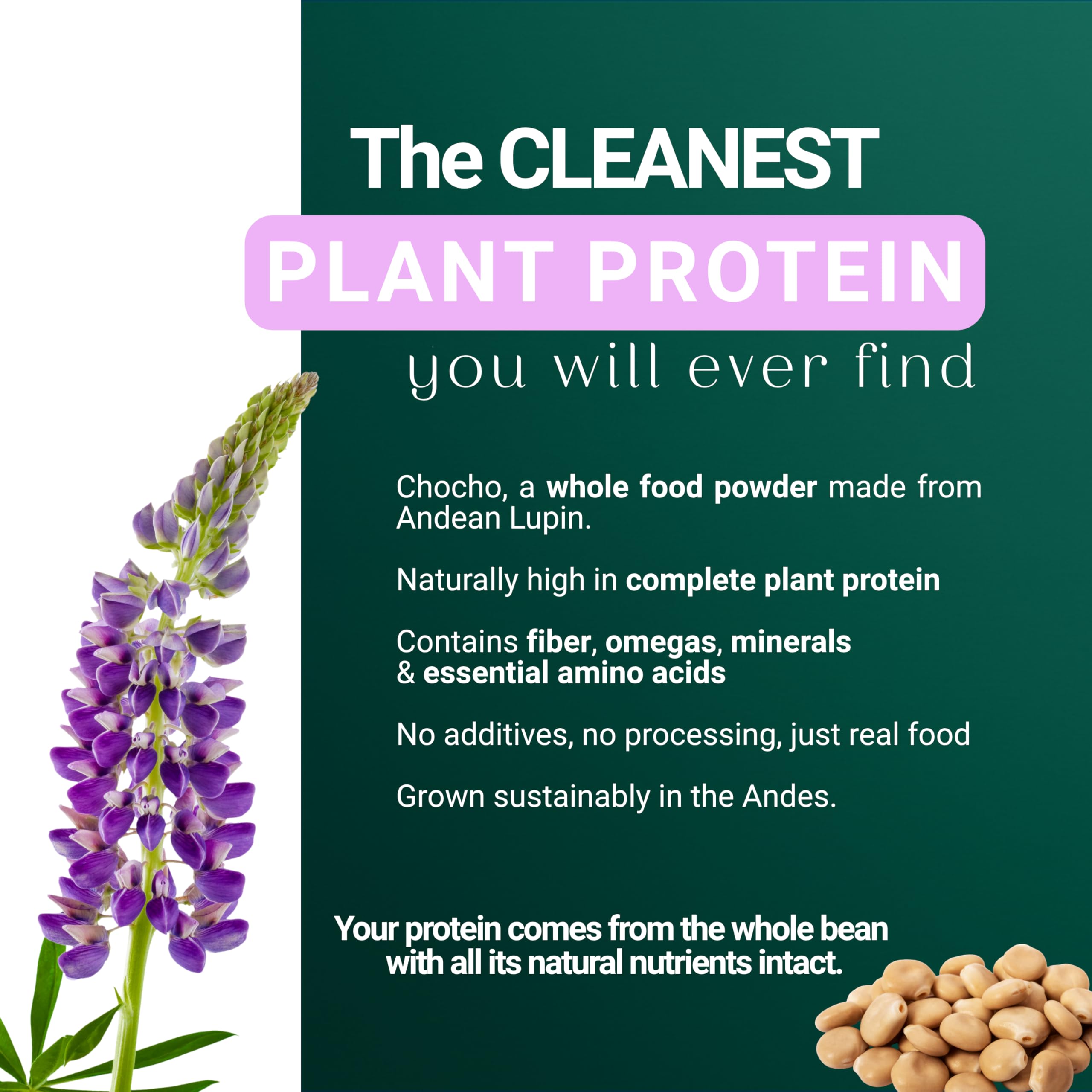 Creamy SEED Chocho shake ready to enjoy, plant-based protein per serving.