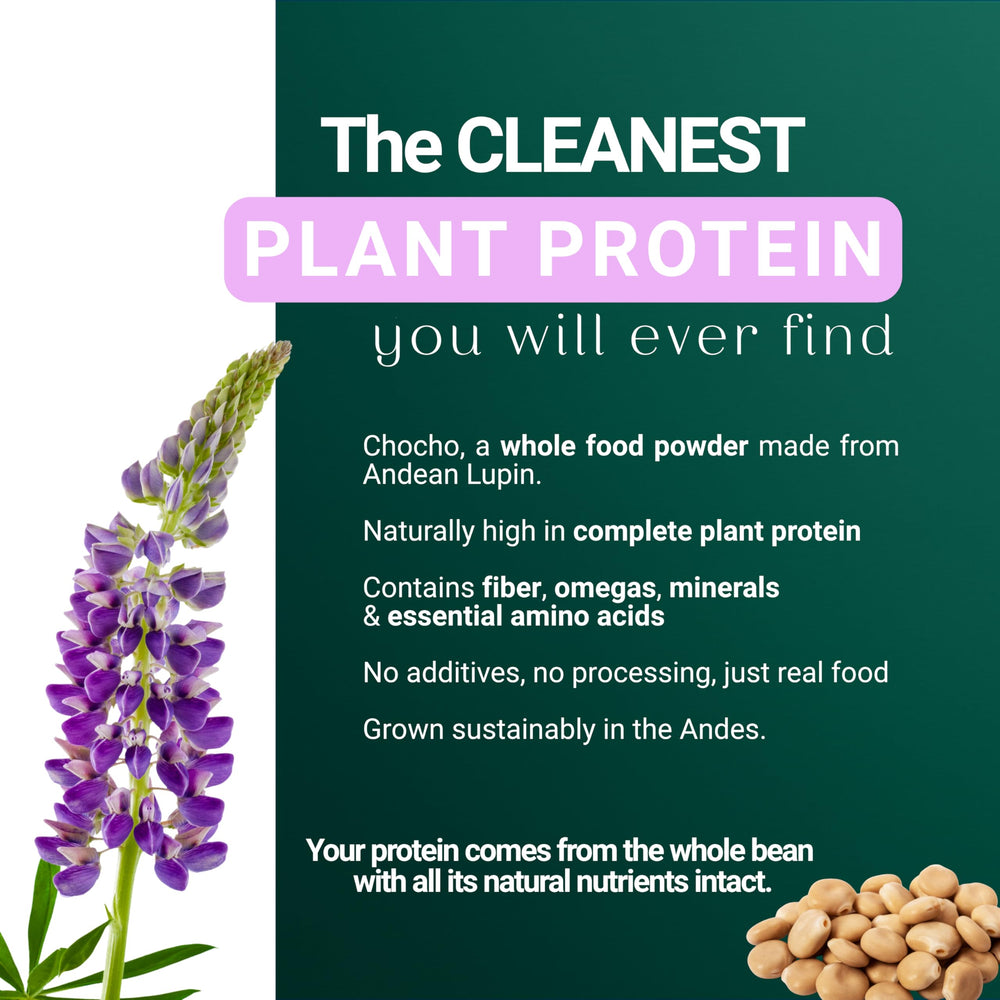 Creamy SEED Chocho shake ready to enjoy, plant-based protein per serving.