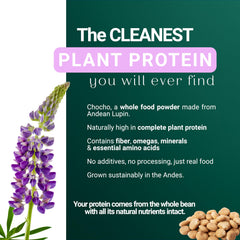 Creamy SEED Chocho shake ready to enjoy, plant-based protein per serving.