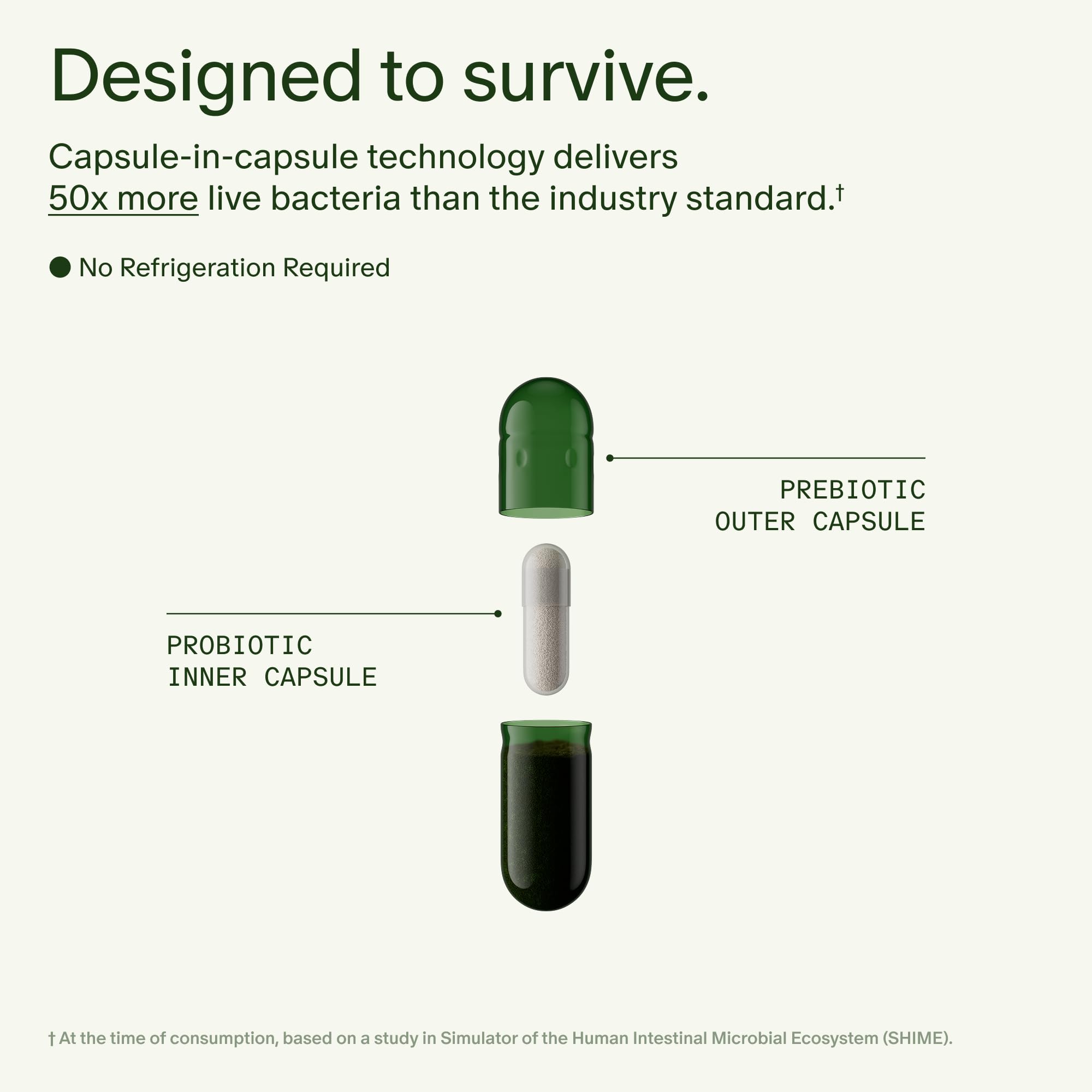 Seed DS-01 capsules in hands illustrate an easy daily routine.