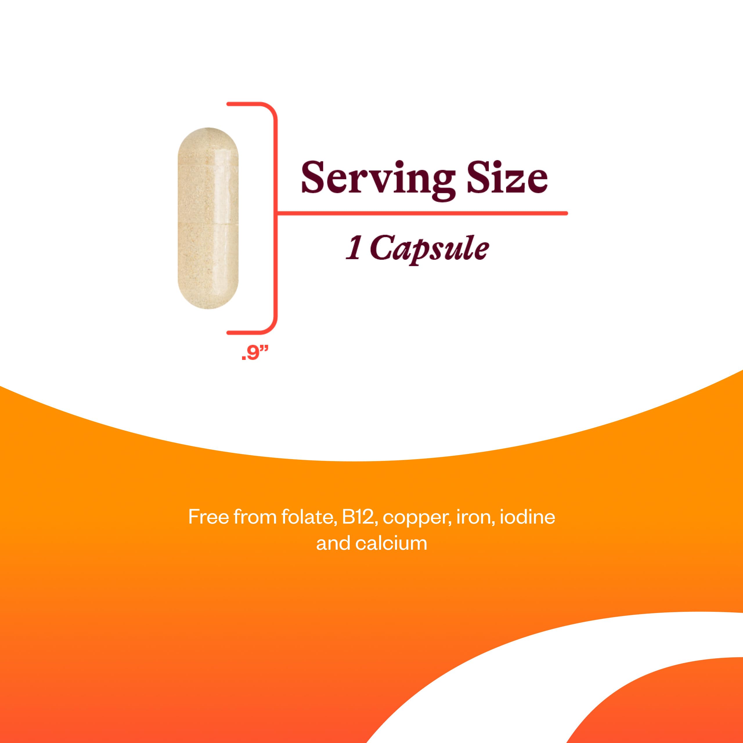 Seeking Health Multivitamin One Sensitive tablets illustrate easy daily intake.