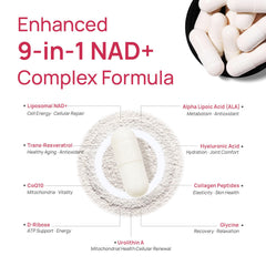 Selerb NADGENIE CoQ10 D-Ribose capsules illustrate energy metabolism support