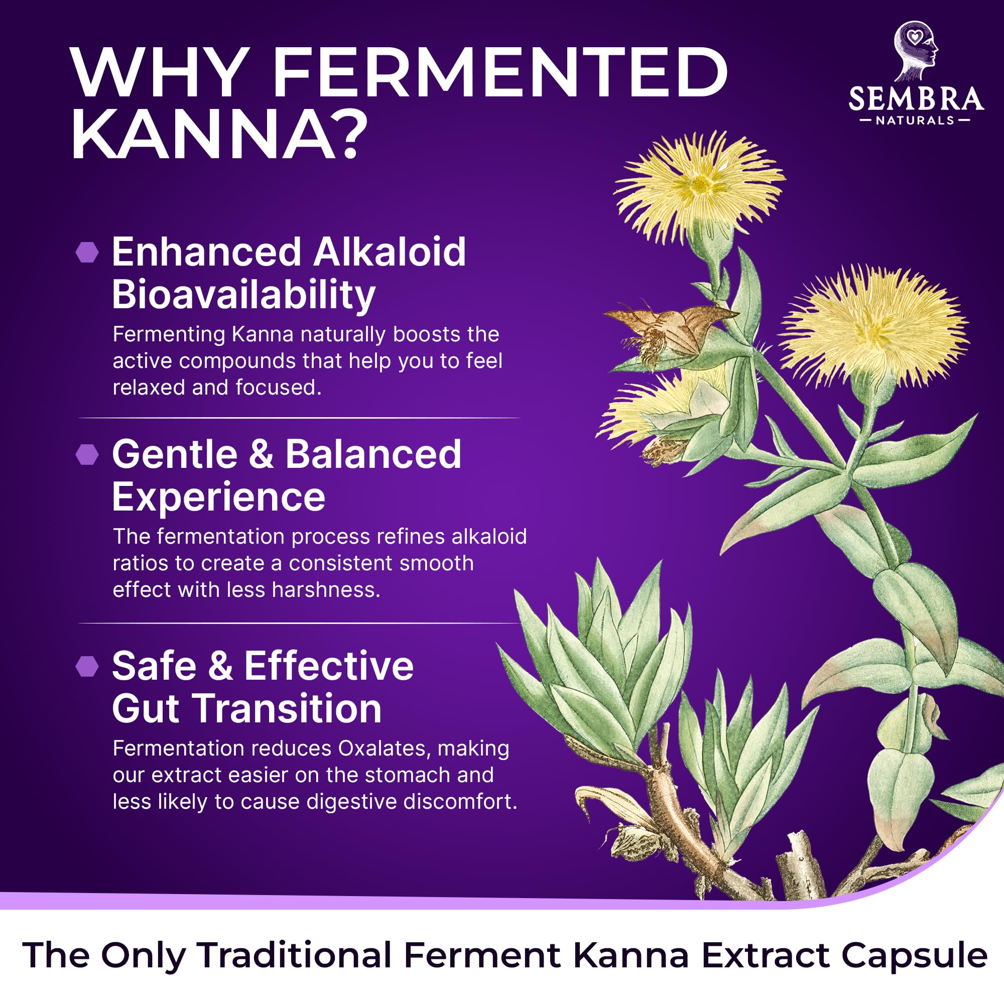 SEMBRA NATURALS KannaFocus bottle top: easy access for daily rituals.