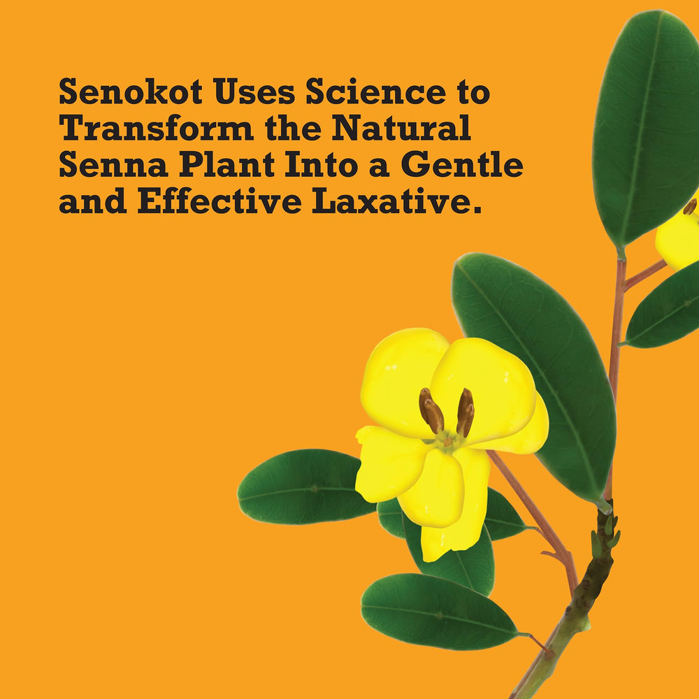 Senokot-branded box on display illustrates trusted laxative brand.