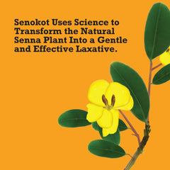 Senokot-branded box on display illustrates trusted laxative brand.