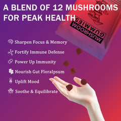 Seodon organic reishi and cordyceps gummy closeup for energy-friendly mood support.